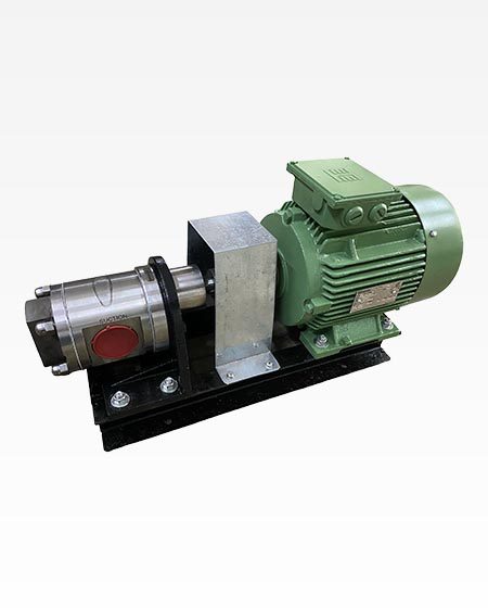 CG CGSS Gear Pumps